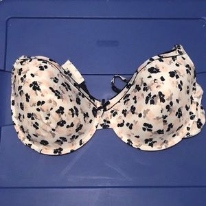 Laura Ashley 40DD bra NWOT